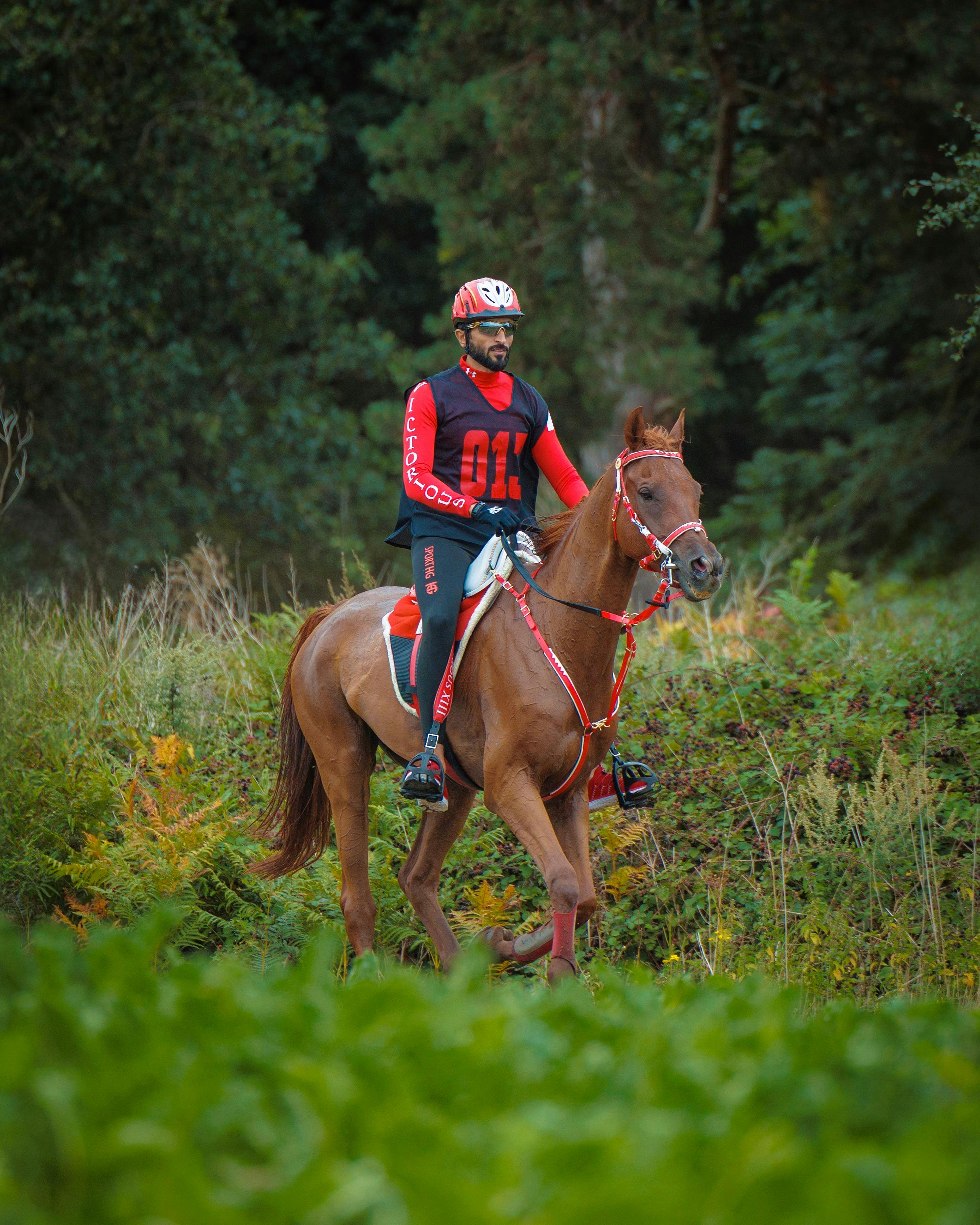 HH Sheikh Nasser