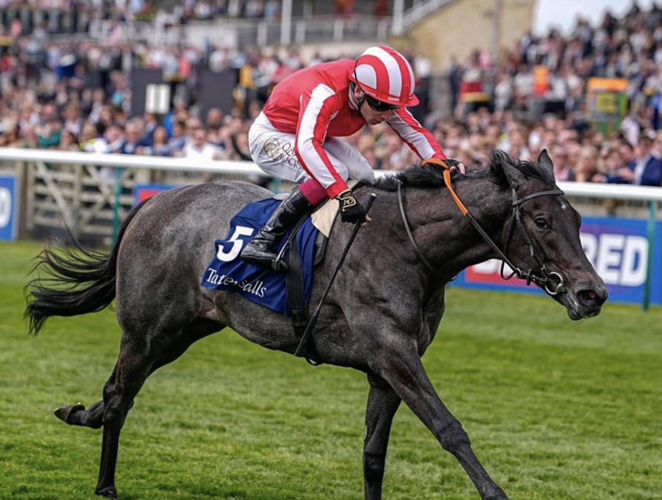 Flat race