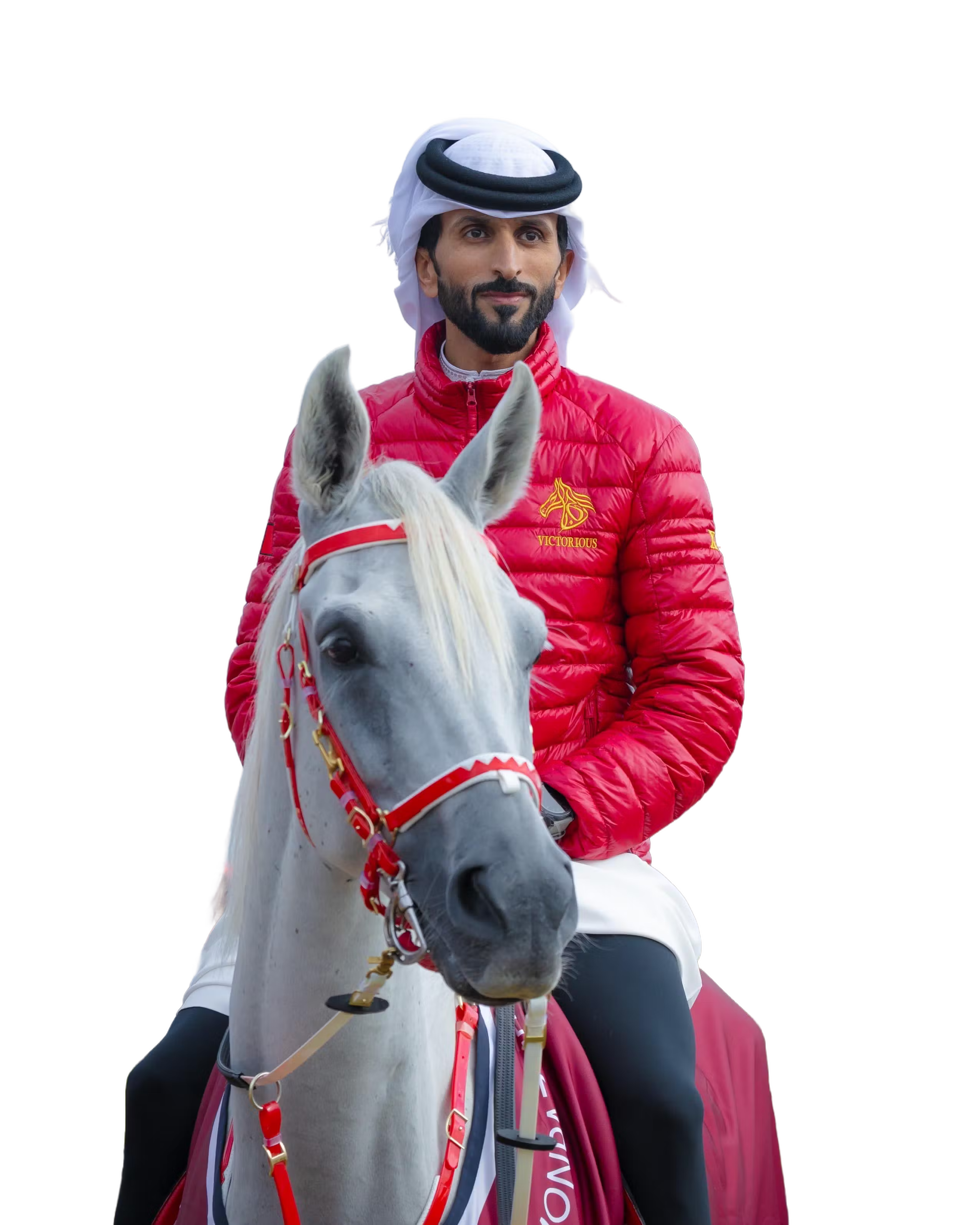 Horse Rider