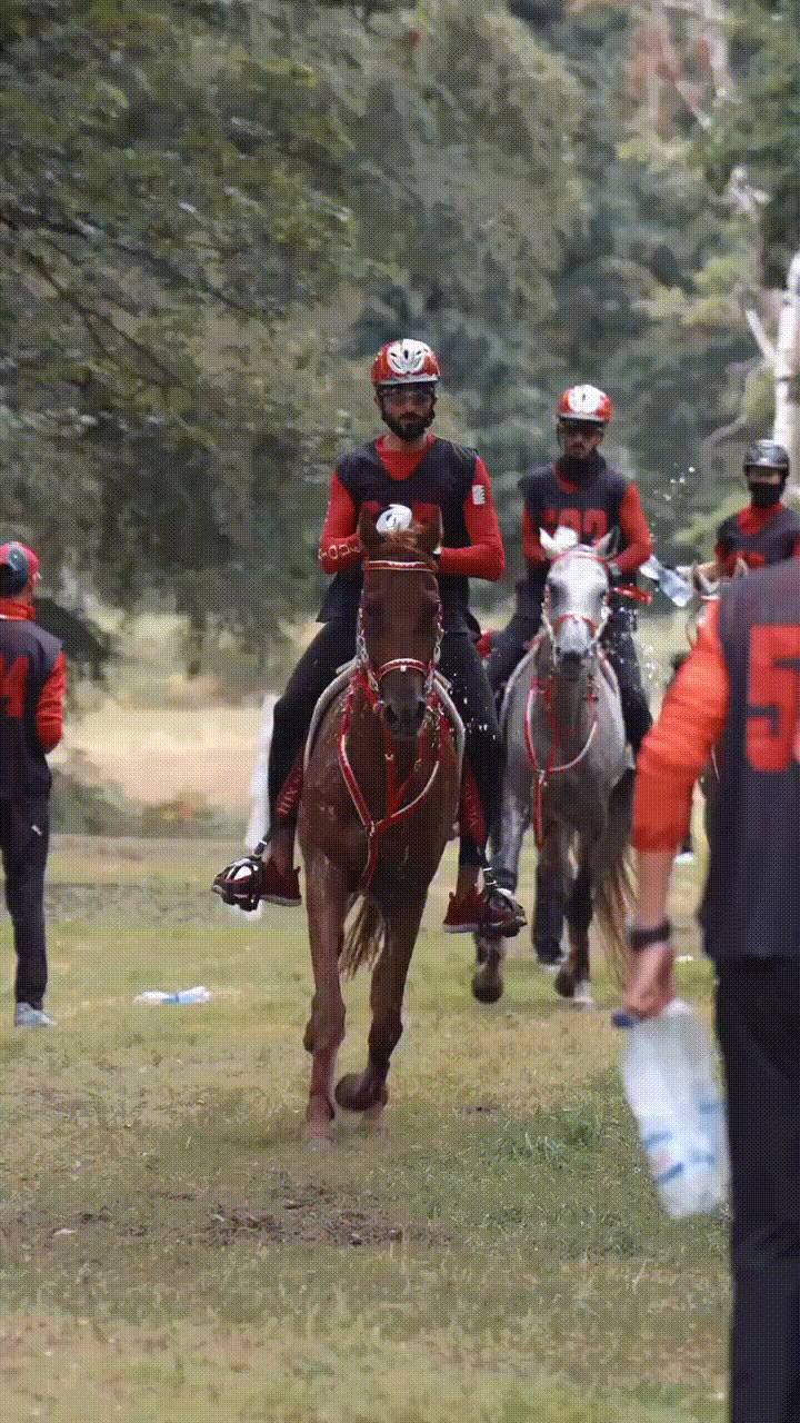 Horse Riding
