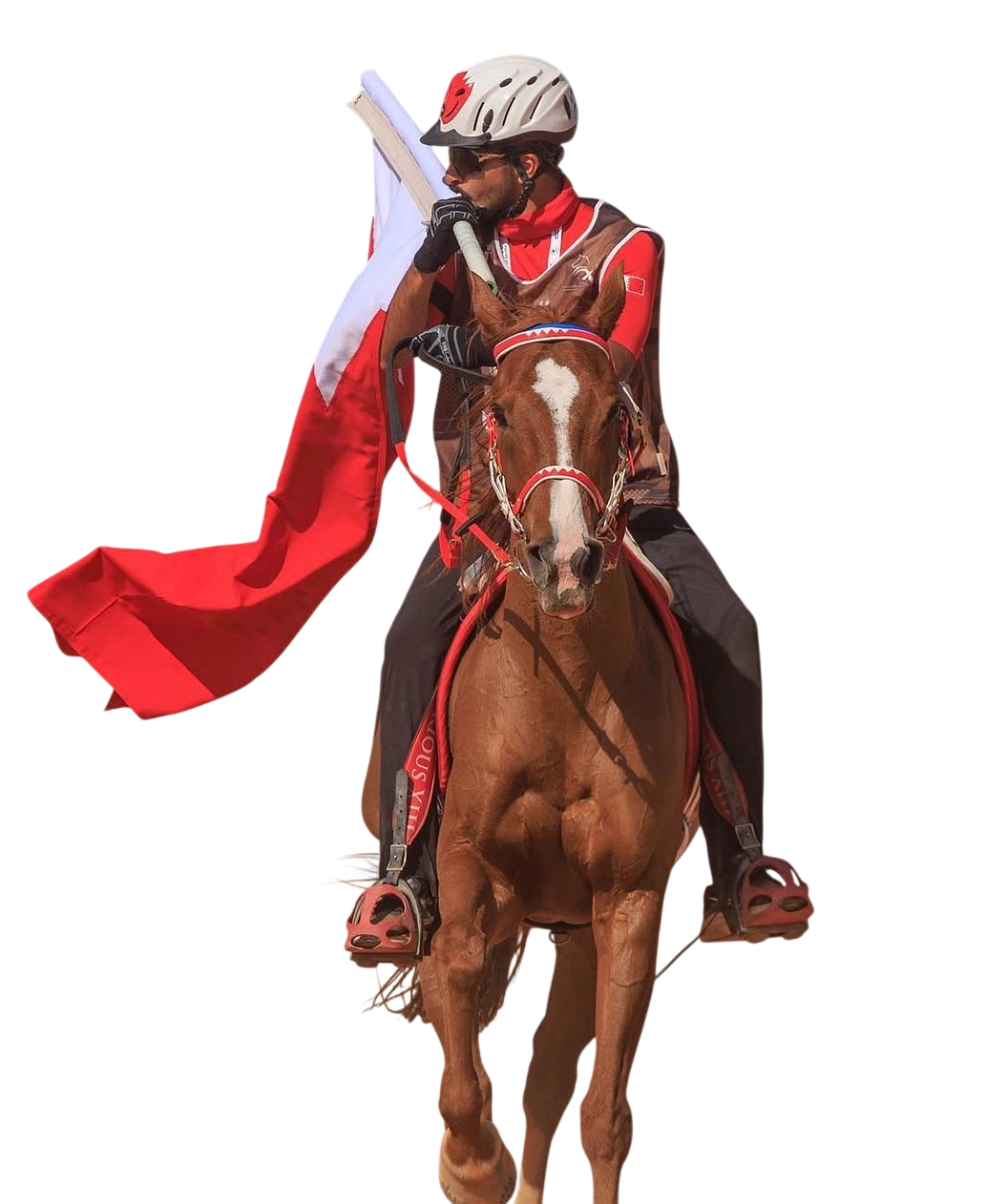 Mohamed Alhashmi